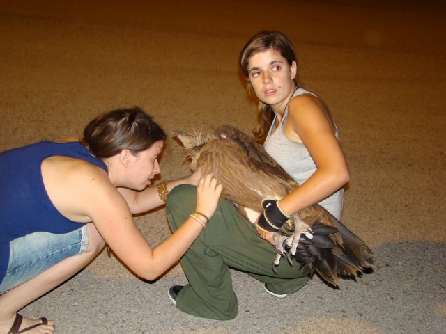 Equipo de rescate de fauna salvaje